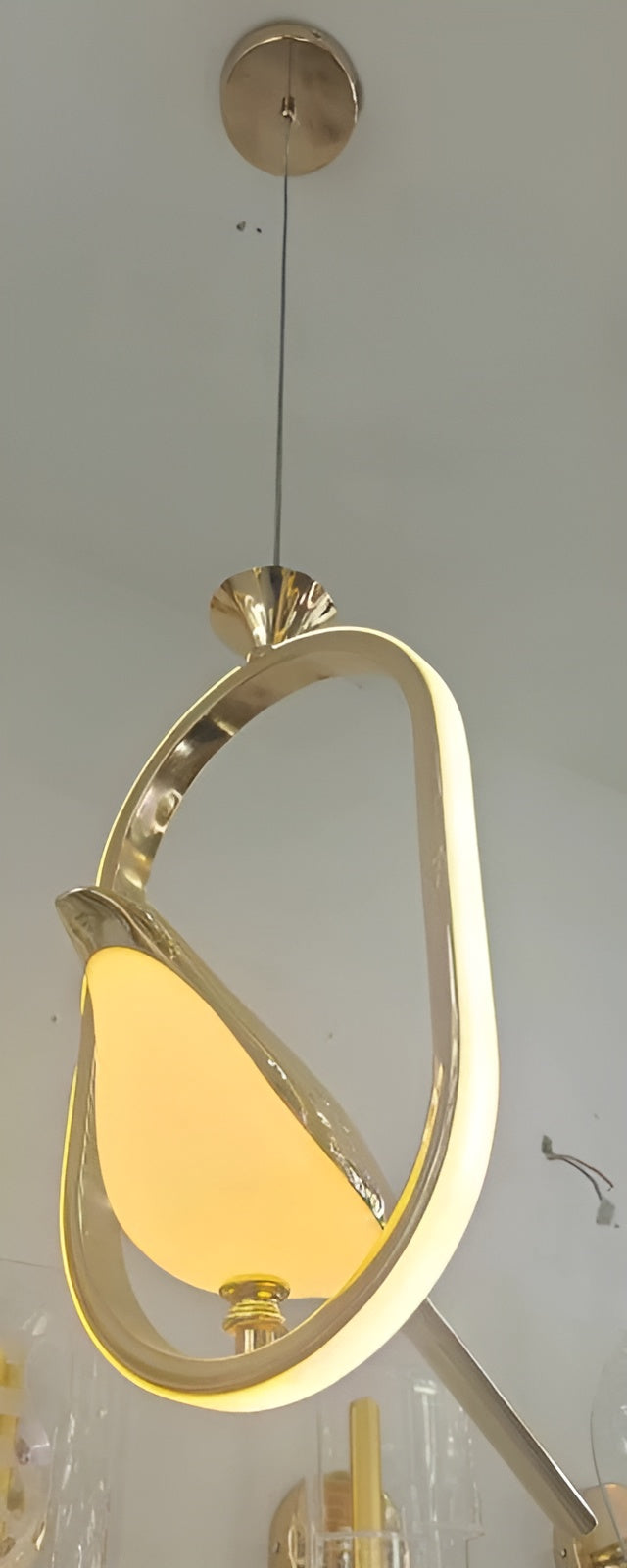 Bird Inspired Pendant Light